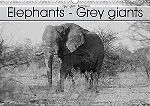 Elephants - Grey Giants 2018 : African Elephants in Southern Africa (Calendar, 4 ed)