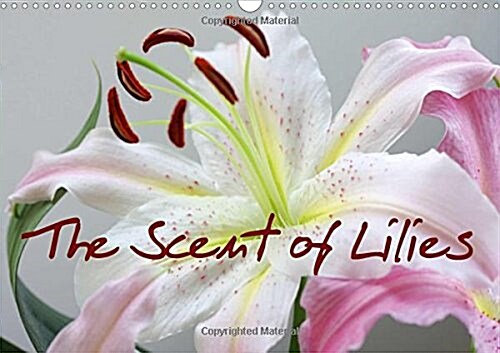 The Scent of Lilies 2018 : Portraits and still lifes of lilies (Calendar)