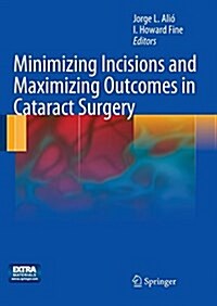 Minimizing Incisions and Maximizing Outcomes in Cataract Surgery (Paperback, Softcover Repri)