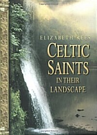 Celtic Saints in Their Landscape (Hardcover)