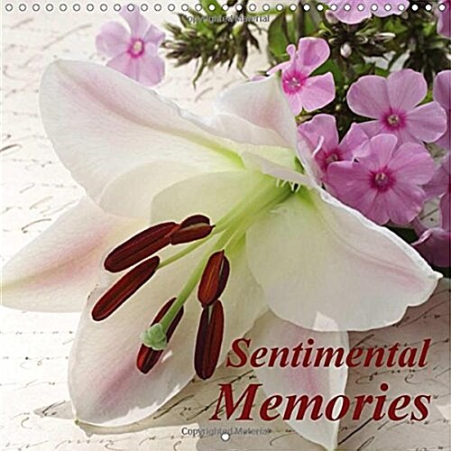 Sentimental Memories 2018 : These Still Life Images Tell Touching Stories (Calendar, 3 ed)