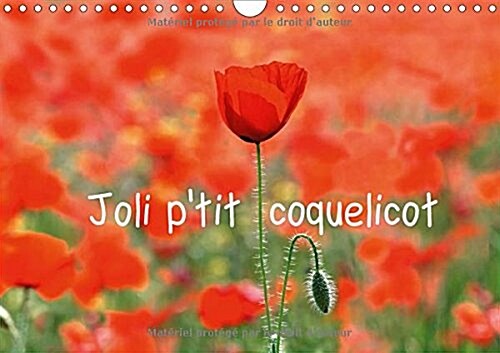 Joli Ptit Coquelicot 2018 : Joli Ptit Coquelicot, Lete Nest Pas Loin. (Calendar, 3 ed)