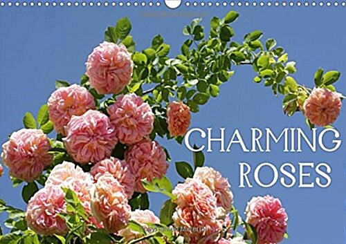 Charming Roses 2018 : Rose is a Rose is a Rose ... (Calendar, 3 ed)