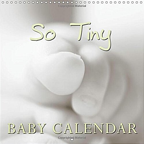 So Tiny Baby Calendar 2018 : The Calendar Shows Tender Close-Ups of a Newborn Baby. (Calendar, 4 ed)