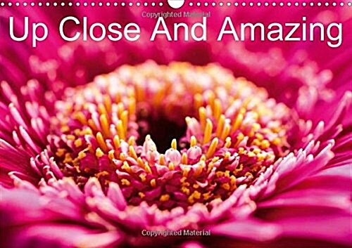 Up Close and Amazing 2018 : Beautiful Macro Gerbera and Other Flowers. (Calendar, 4 ed)