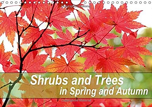 Shrubs and Trees in Spring and Autumn 2018 : Blossoms and Berries of Shrubs and Trees. (Calendar, 3 ed)