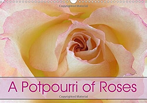 A Potpourri of Roses 2018 : Roses - an Endless Story (Calendar, 3 ed)