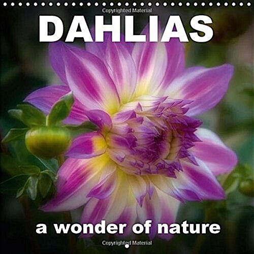 Dahlias a Wonder of Nature 2018 : Wonderful Dahlias, Presented in a Warm Light (Calendar, 3 ed)