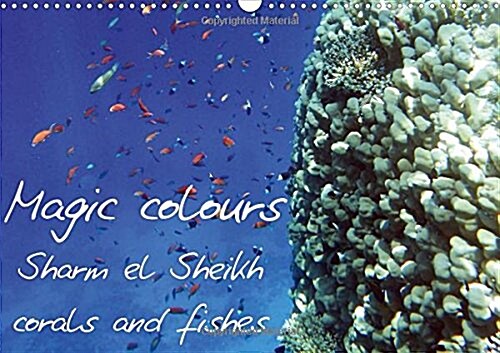 Magic Colours Sharm El Sheikh Corals and Fishes 2018 : Pictures of Sharm El Sheikh Coral Reef (Red Sea). (Calendar, 4 ed)