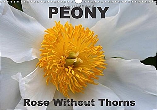Peony Rose Without Thorns 2018 : Peony, a Flower of Symbolic Importance (Calendar, 3 ed)