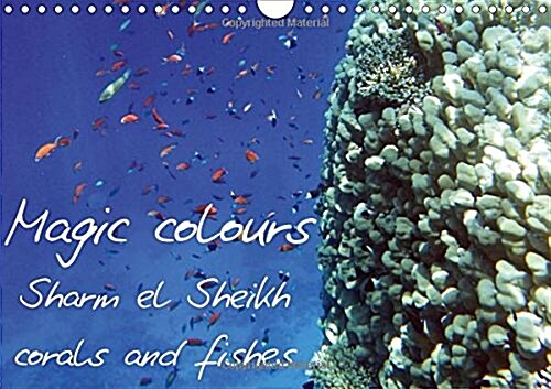 Magic Colours Sharm El Sheikh Corals and Fishes 2018 : Pictures of Sharm El Sheikh Coral Reef (Red Sea). (Calendar, 4 ed)