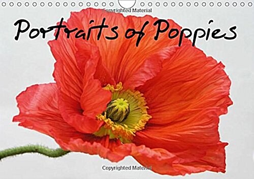 Portraits of Poppies 2018 : One Year of Poppy Pleasure (Calendar, 3 ed)