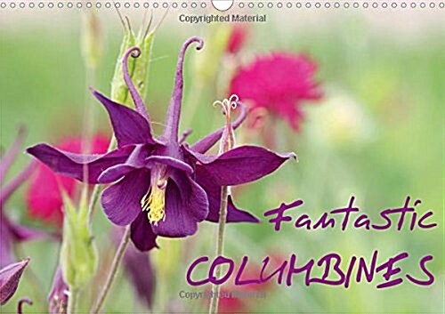 Fantastic Columbines 2018 : The Variety of Grannys Bonnet or Columbine is Remarkable (Calendar, 3 ed)