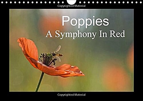 Poppies A Symphony in Red 2018 : It is Almost Too Beautiful. the Red Poppies in a Wheat Field Swaying Gently in the Wind, the Buzz of Insects and Bird (Calendar, 3 ed)