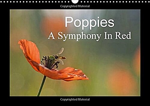Poppies A Symphony in Red 2018 : It is Almost Too Beautiful. the Red Poppies in a Wheat Field Swaying Gently in the Wind, the Buzz of Insects and Bird (Calendar, 3 ed)