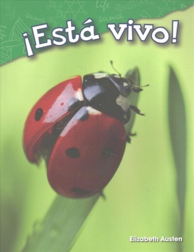 좪st?Vivo! (Paperback)