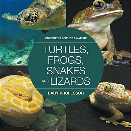 Turtles, Frogs, Snakes and Lizards Childrens Science & Nature (Paperback)