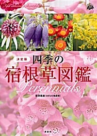 四季の宿根草圖鑑 決定版 (單行本(ソフトカバ-))