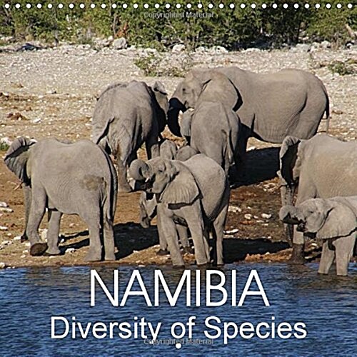 Namibia Diversity of Species 2018 : Impressions of the Multifaceted Animal World of Namibia (Calendar, 3 ed)