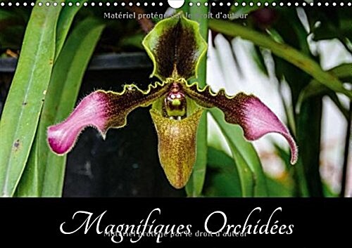 Magnifiques Orchidees 2018 : Belles Photographies Dorchidees Exotiques (Calendar, 3 ed)