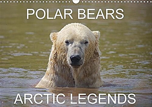 Polar Bears - Arctic Legends 2018 : 2 Male Polar Bears Compete in a Test of Strength. (Calendar, 3 ed)