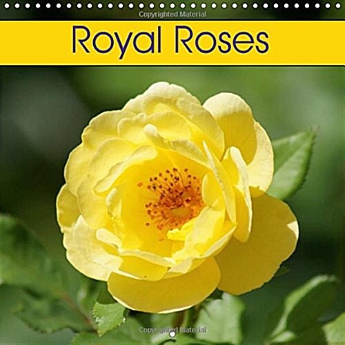 Royal Roses 2018 : Colourful Flowers (Calendar)