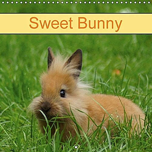 Sweet Bunny 2018 : Rabbits and Pets (Calendar, 3 ed)