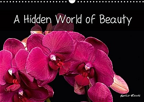 A Hidden World of Beauty 2018 : Welcome to My Universe - Graphic and Rich in Colour, Full of Different Visual Experiences. (Calendar, 3 ed)