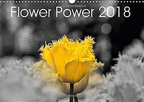 Flower Power 2018 2018 : Flowers in All Different Colours (Calendar, 3 ed)