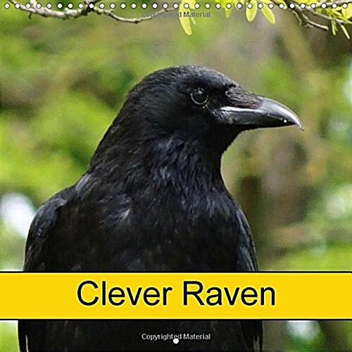 Clever Raven 2018 : Bird and Animal (Calendar)