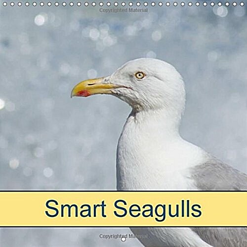 Smart Seagulls 2018 : Wild Birds (Calendar)