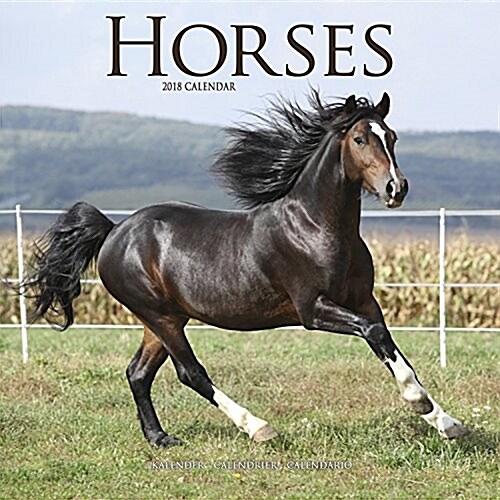 Horses Calendar 2018 (Calendar)