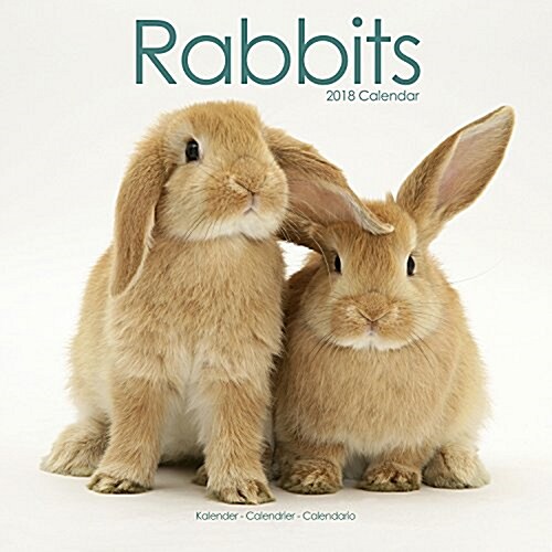 Rabbits Calendar 2018 (Calendar)