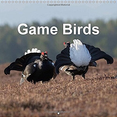 Game Birds 2018 : Photographs of the Game Birds of Britain (Calendar)