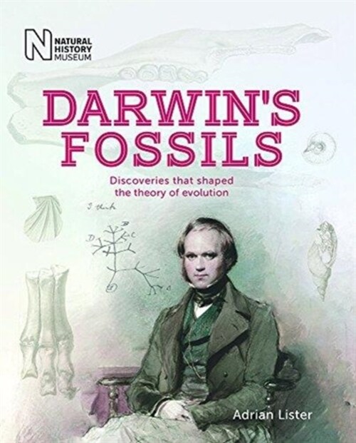 Darwins Fossils : Discoveries that shaped the theory of evolution (Paperback)