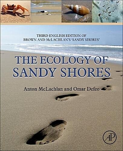 The Ecology of Sandy Shores (Paperback, 3)