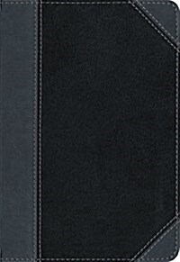 NIV, Thinline Bible, Compact, Imitation Leather, Black/Gray, Red Letter Edition (Imitation Leather, Special)