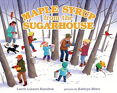 [중고] Maple Syrup from the Sugarhouse (Hardcover)