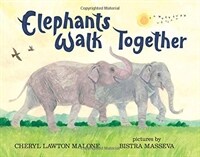 Elephants walk together