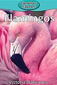 Flamingos (Paperback)