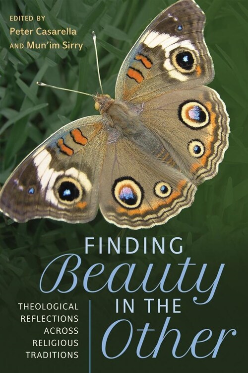 Finding Beauty in the Other: Theological Reflections Across Religious Traditions (Paperback)