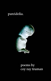 Pareidolia (Paperback)