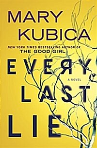 Every Last Lie (Hardcover)