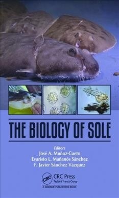 The Biology of Sole (Hardcover)