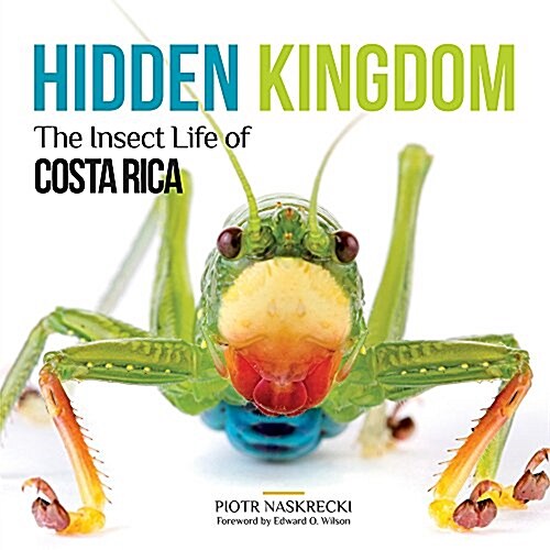 Hidden Kingdom: The Insect Life of Costa Rica (Paperback)
