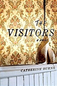 The Visitors (Hardcover)