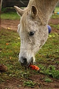 A Pretty Horse Snacking on an Orange Carrot Journal: 150 Page Lined Notebook/Diary (Paperback)
