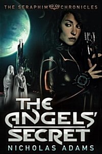 The Angels Secret (Paperback)