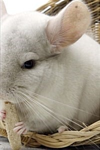 An Adorable White Chinchilla Pet Journal: 150 Page Lined Notebook/Diary (Paperback)