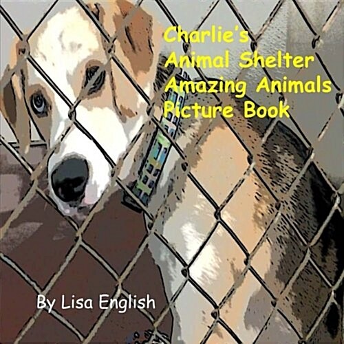 Charlies Animal Shelter Amazing Animals (Paperback)